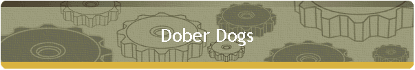 Dober Dogs
