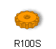 R100S