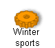 Winter  
 sports
